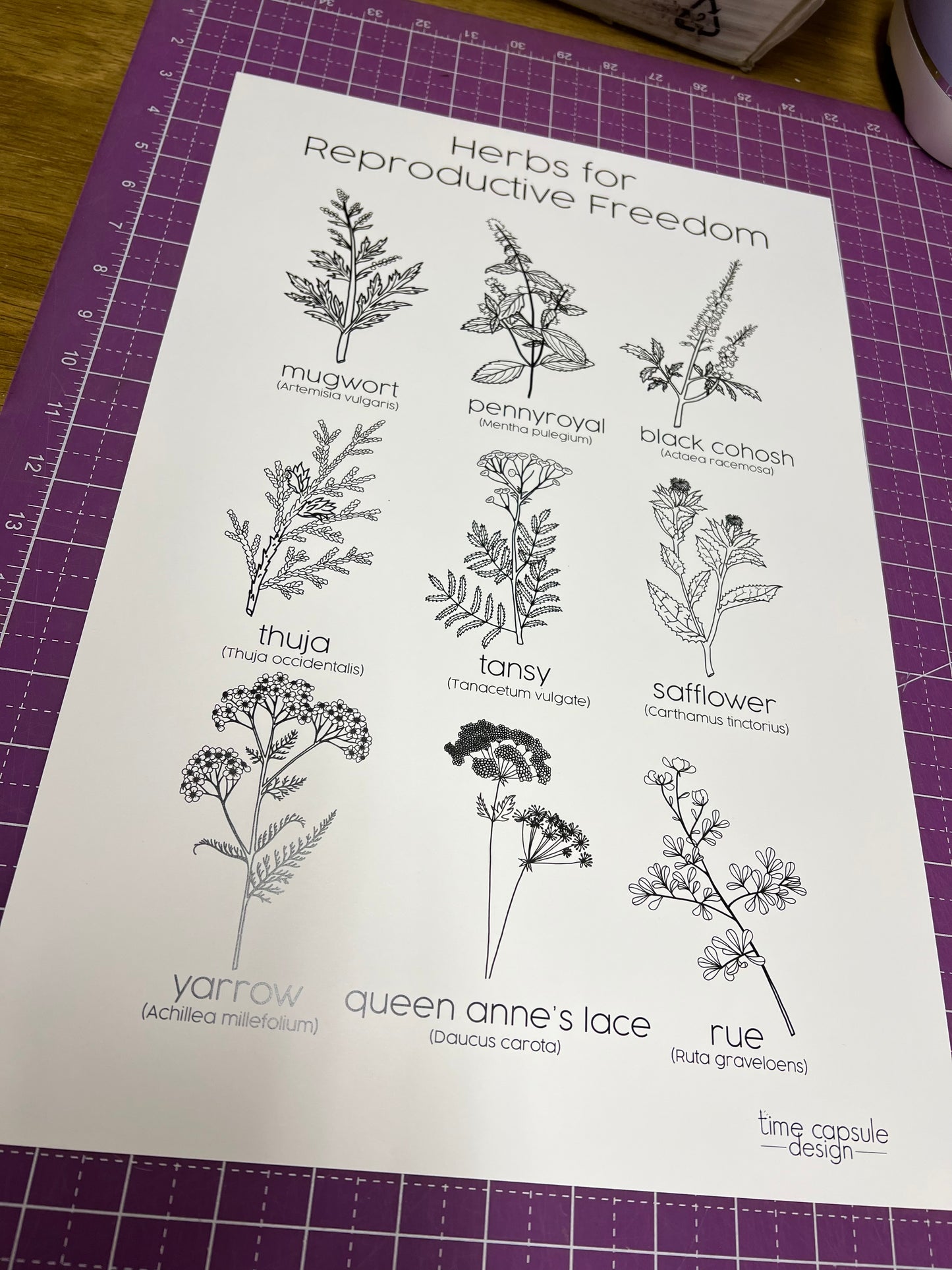 Herbs for Reproductive Freedom Poster