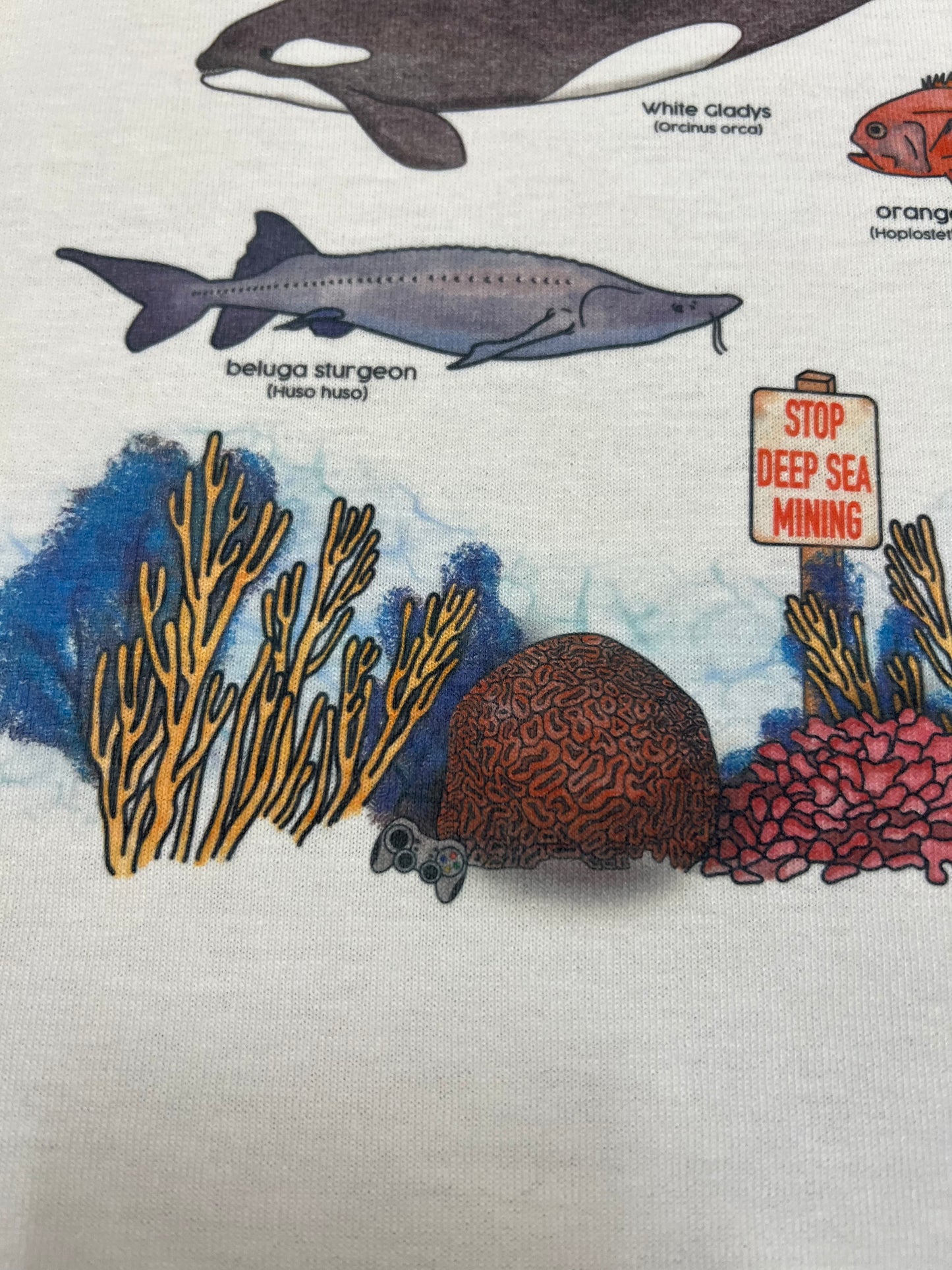 The Oceans are Anti Capitalism