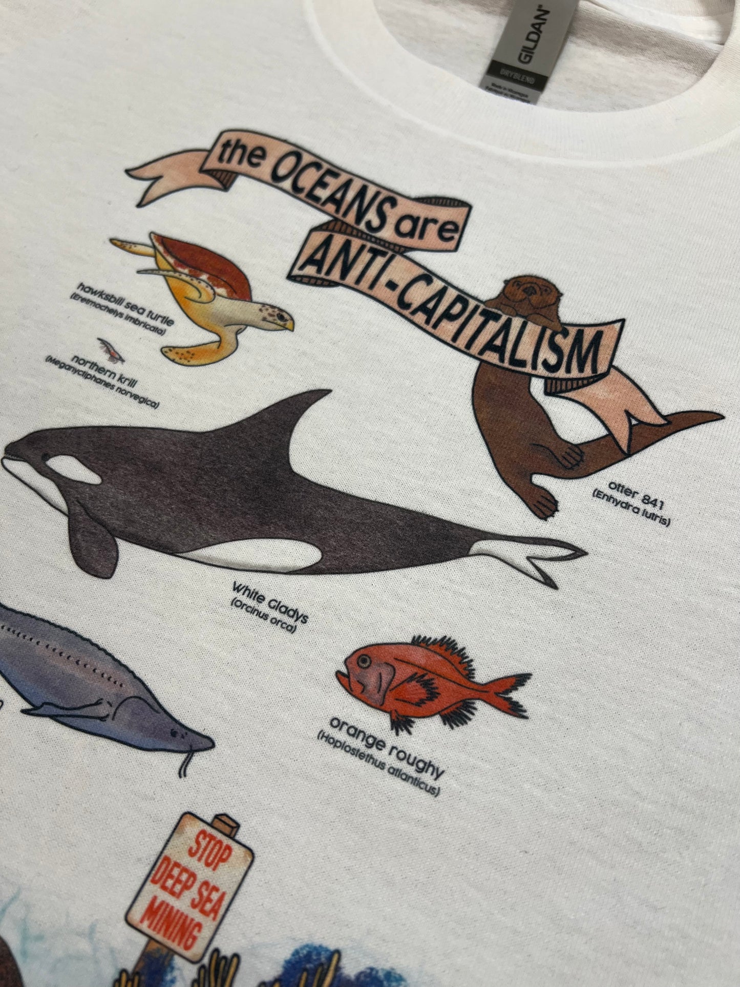 The Oceans are Anti Capitalism