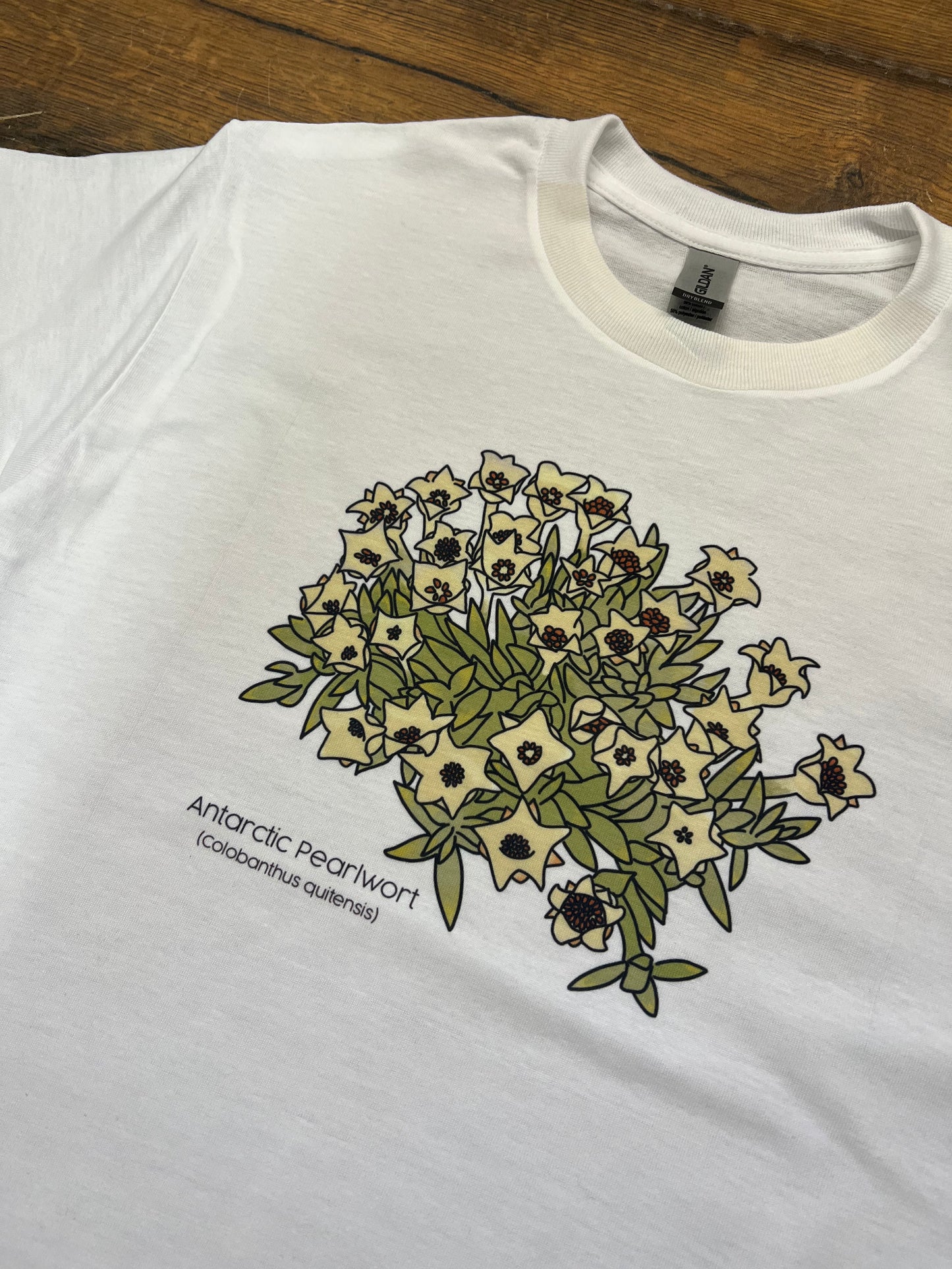 Antarctic Pearlwort Climate Crisis Shirt