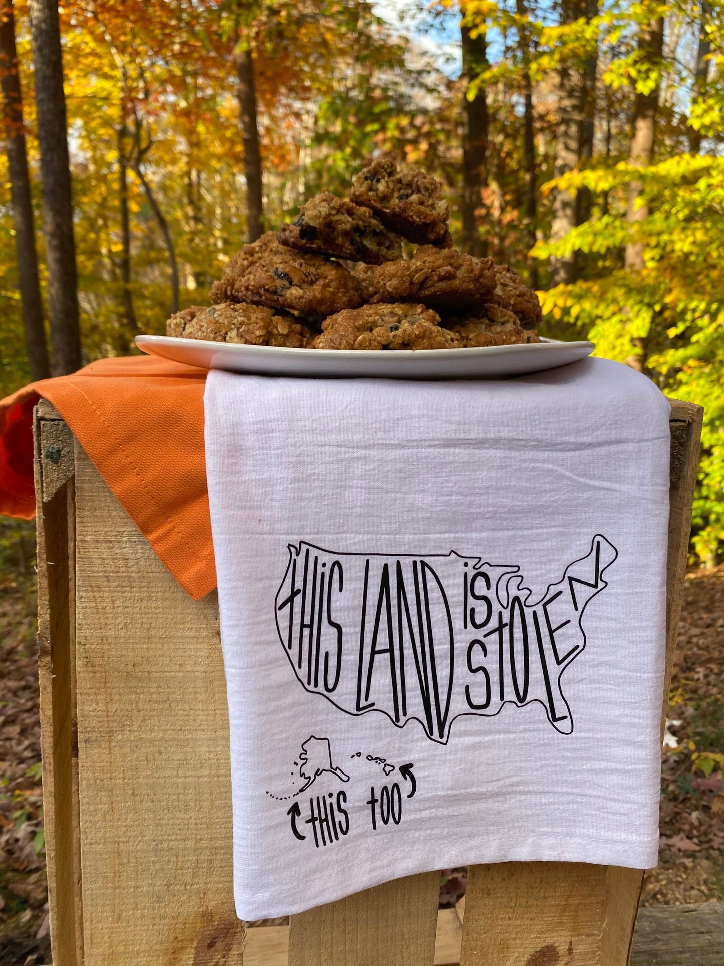 This Land is Stolen Tea Towel