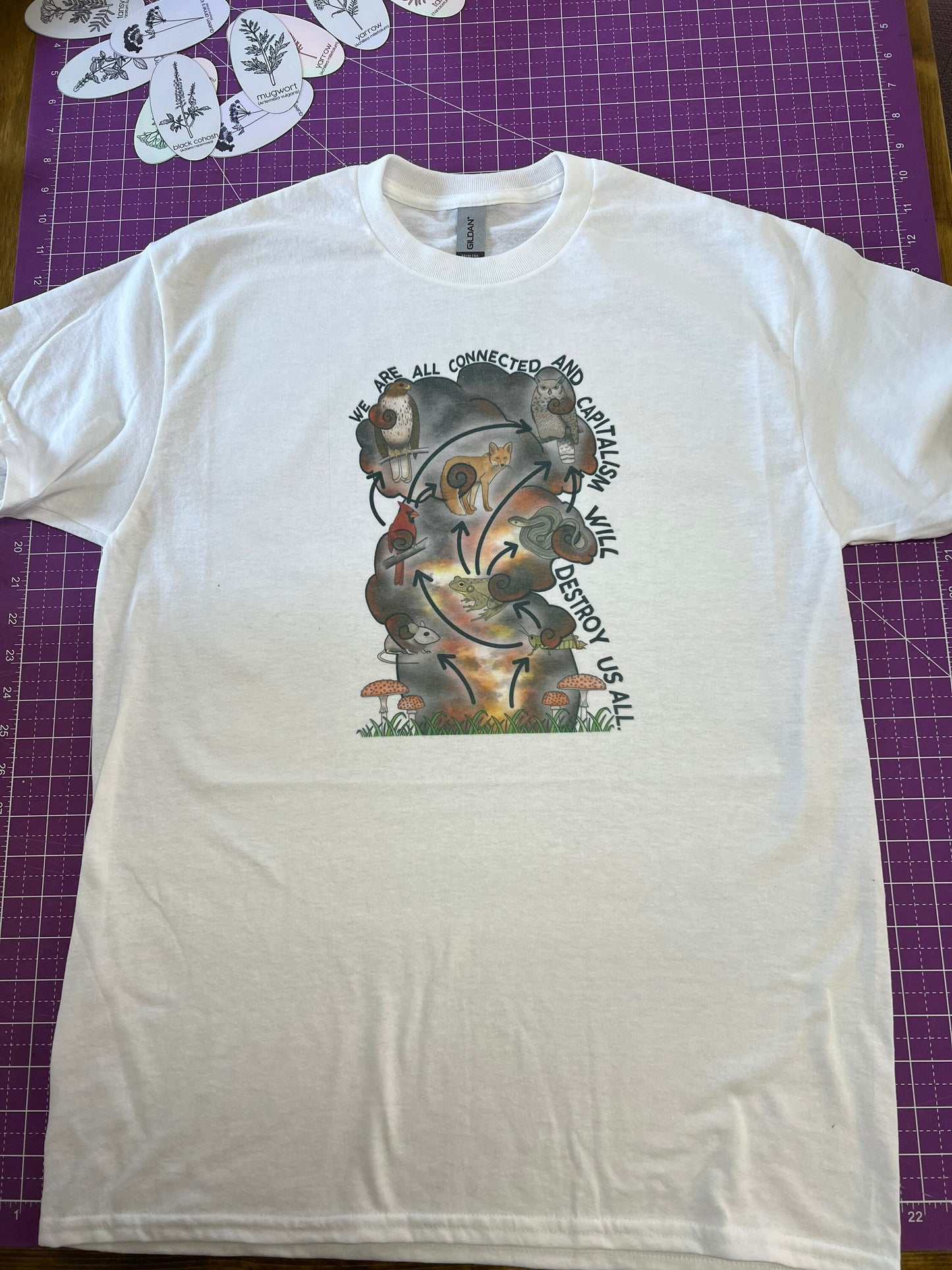 We Are All Connected Capitalism Will Destroy Us All SHIRT East Palestine Relief