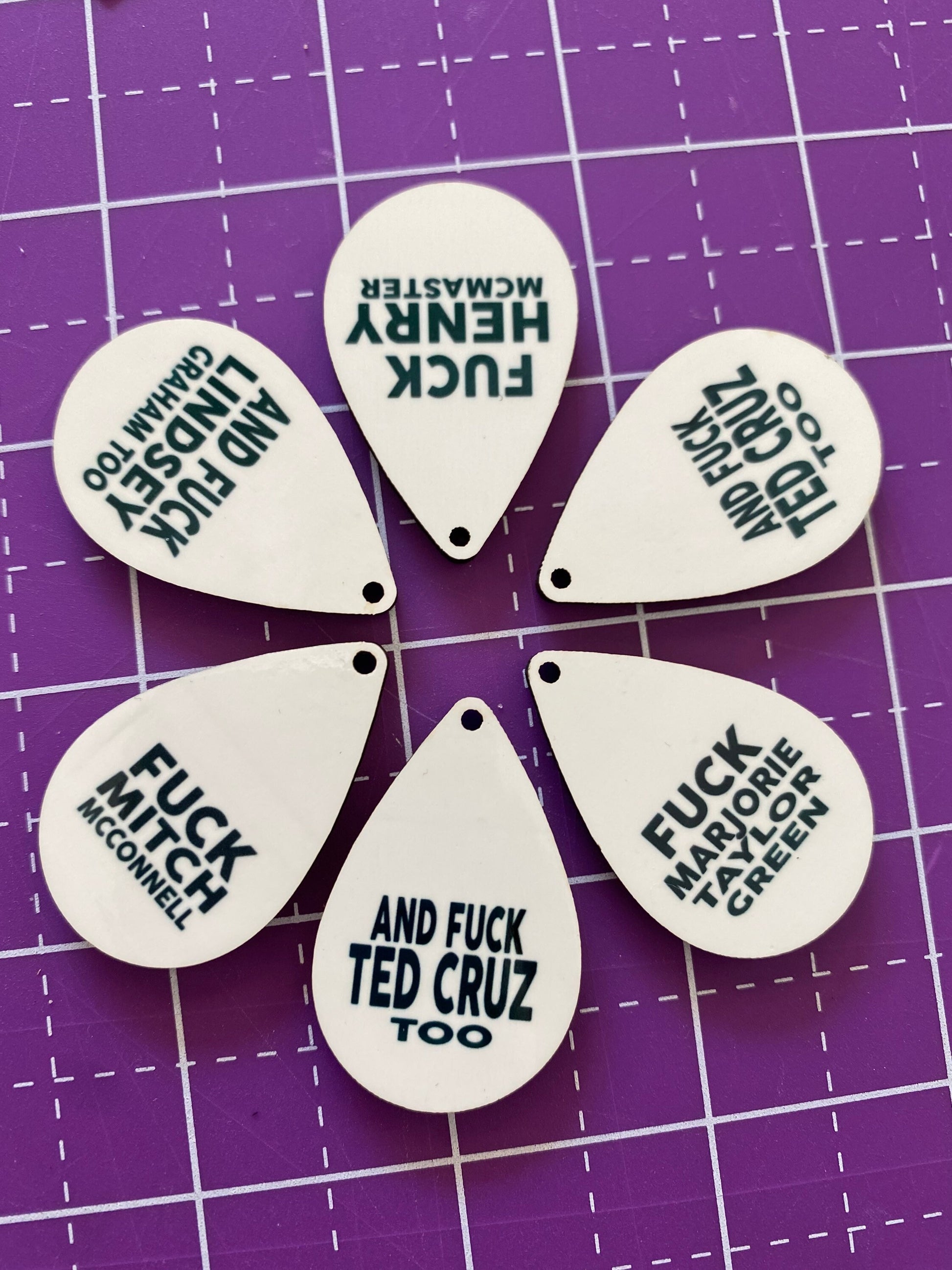 Fuck Henry McMaster and Lindsey Graham too Earrings