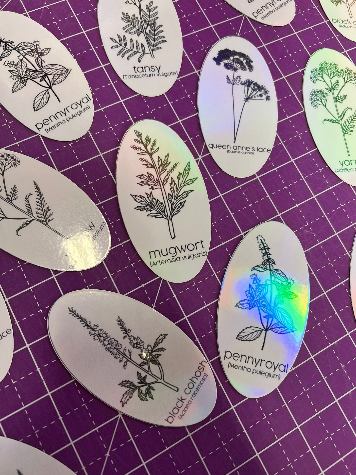 Magnets - Herbs for Reproductive Freedom - Set of 4