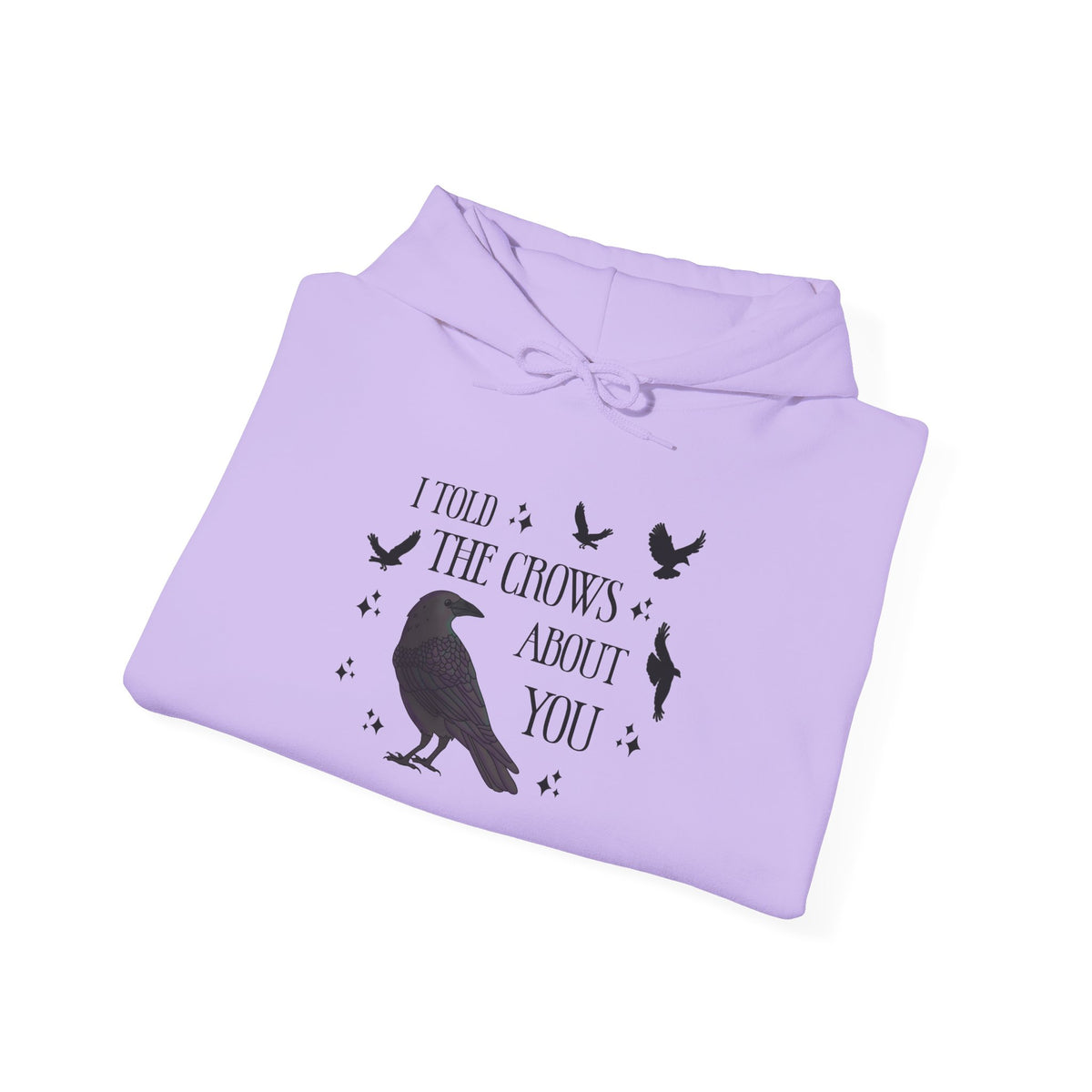 I Told the Crows About You Hoodie