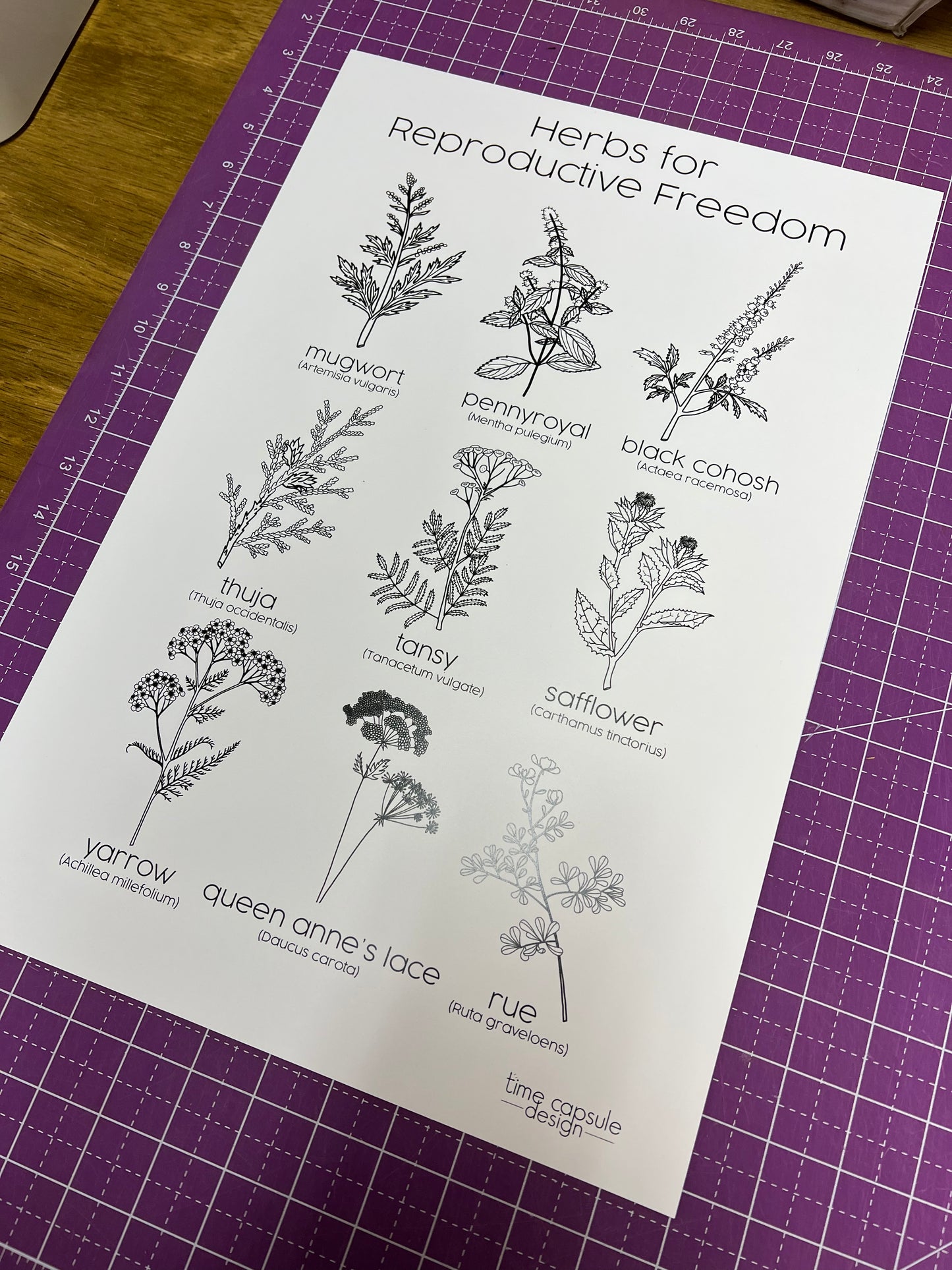 Herbs for Reproductive Freedom Poster