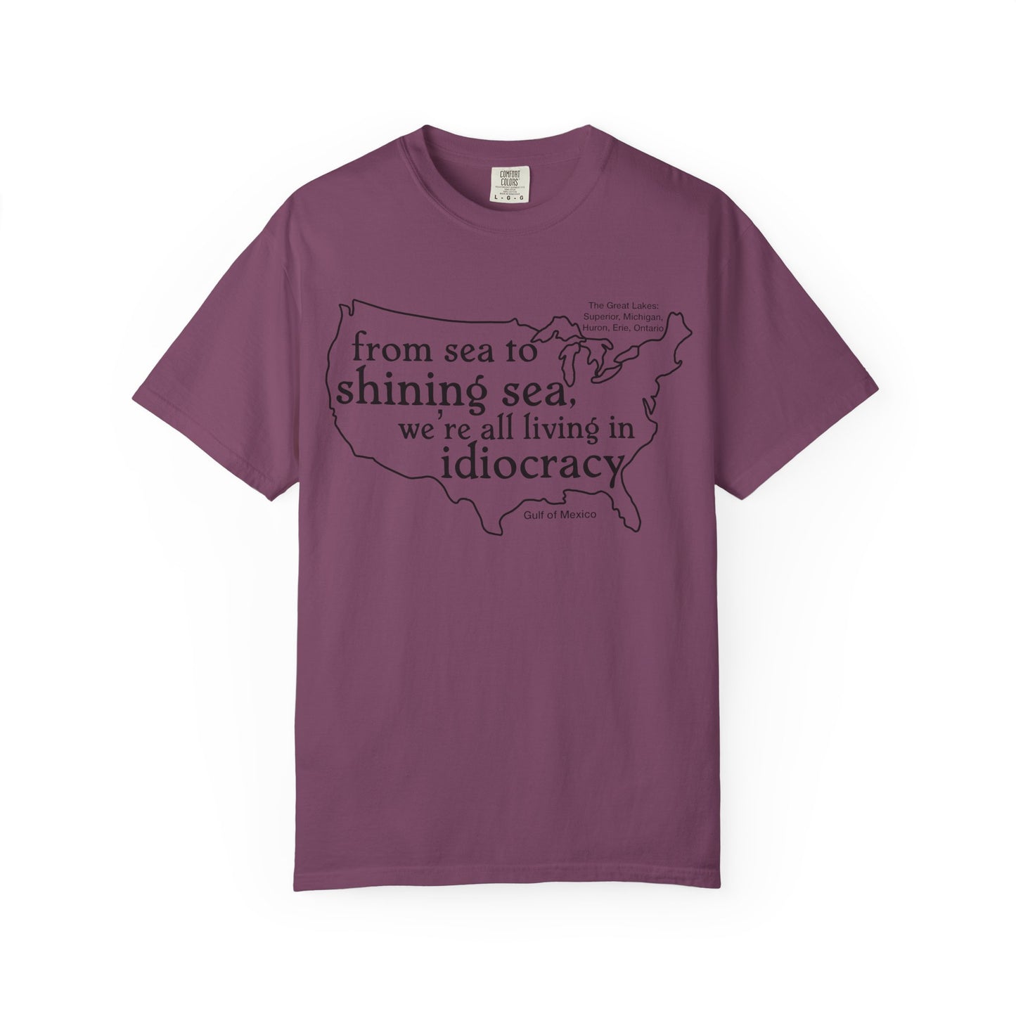 Idiocracy Map T-Shirt  'From sea to shining sea we are living in idiocracy' Minimal Political Tee Great Lakes Gulf of Mexico