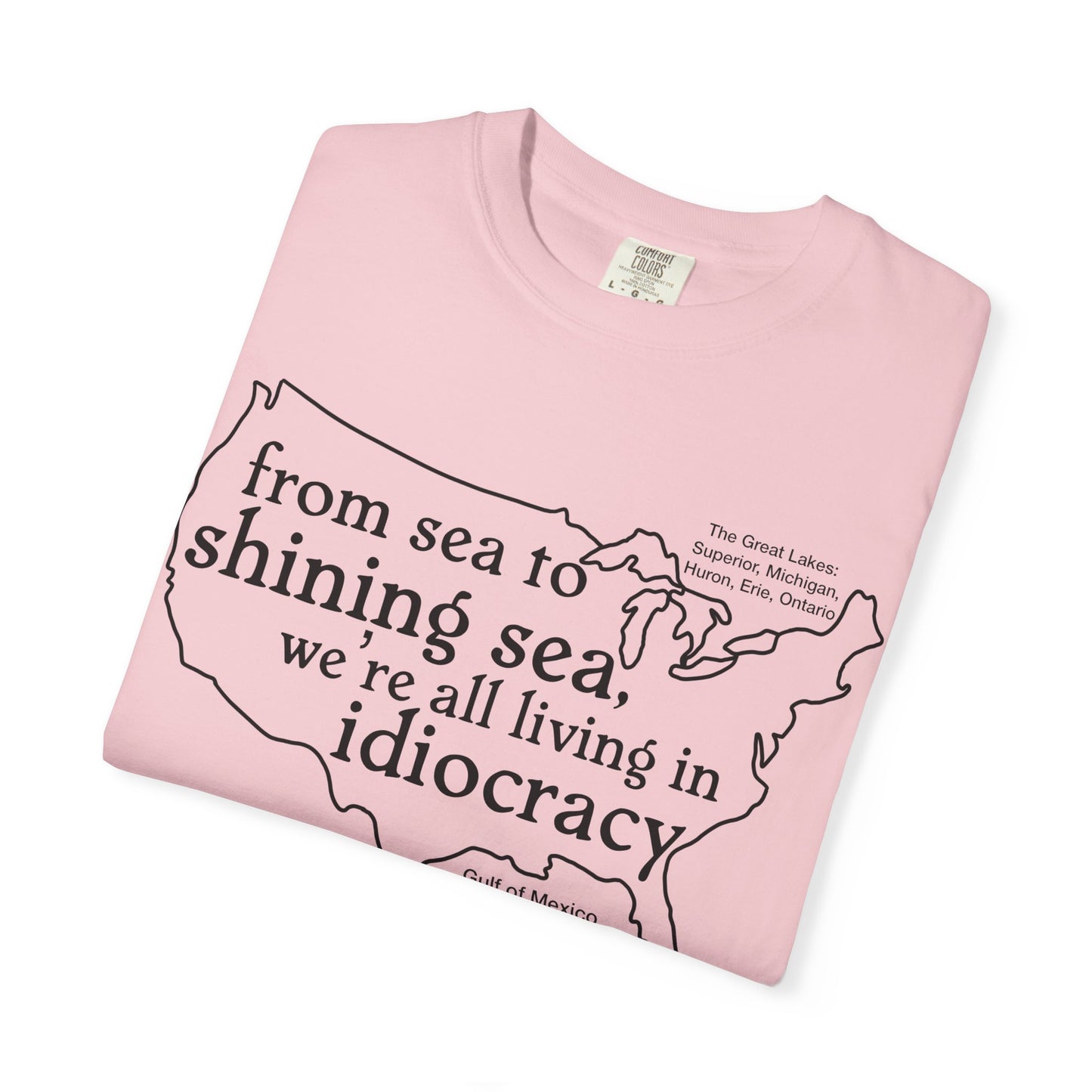 Idiocracy Map T-Shirt  'From sea to shining sea we are living in idiocracy' Minimal Political Tee Great Lakes Gulf of Mexico
