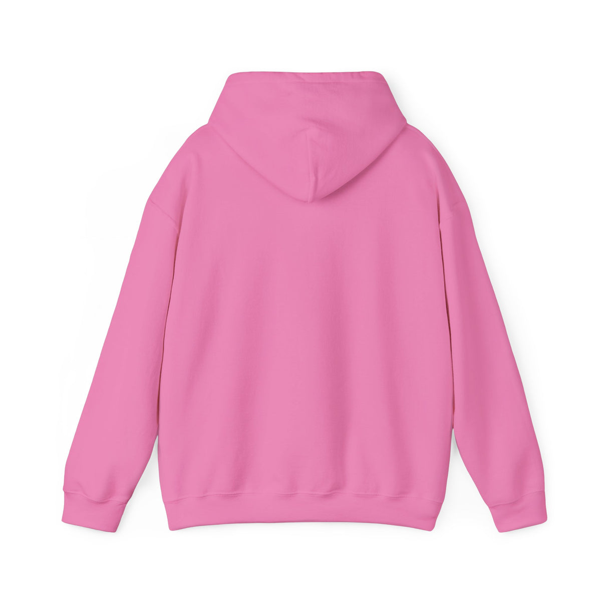 I Told the Crows About You Hoodie