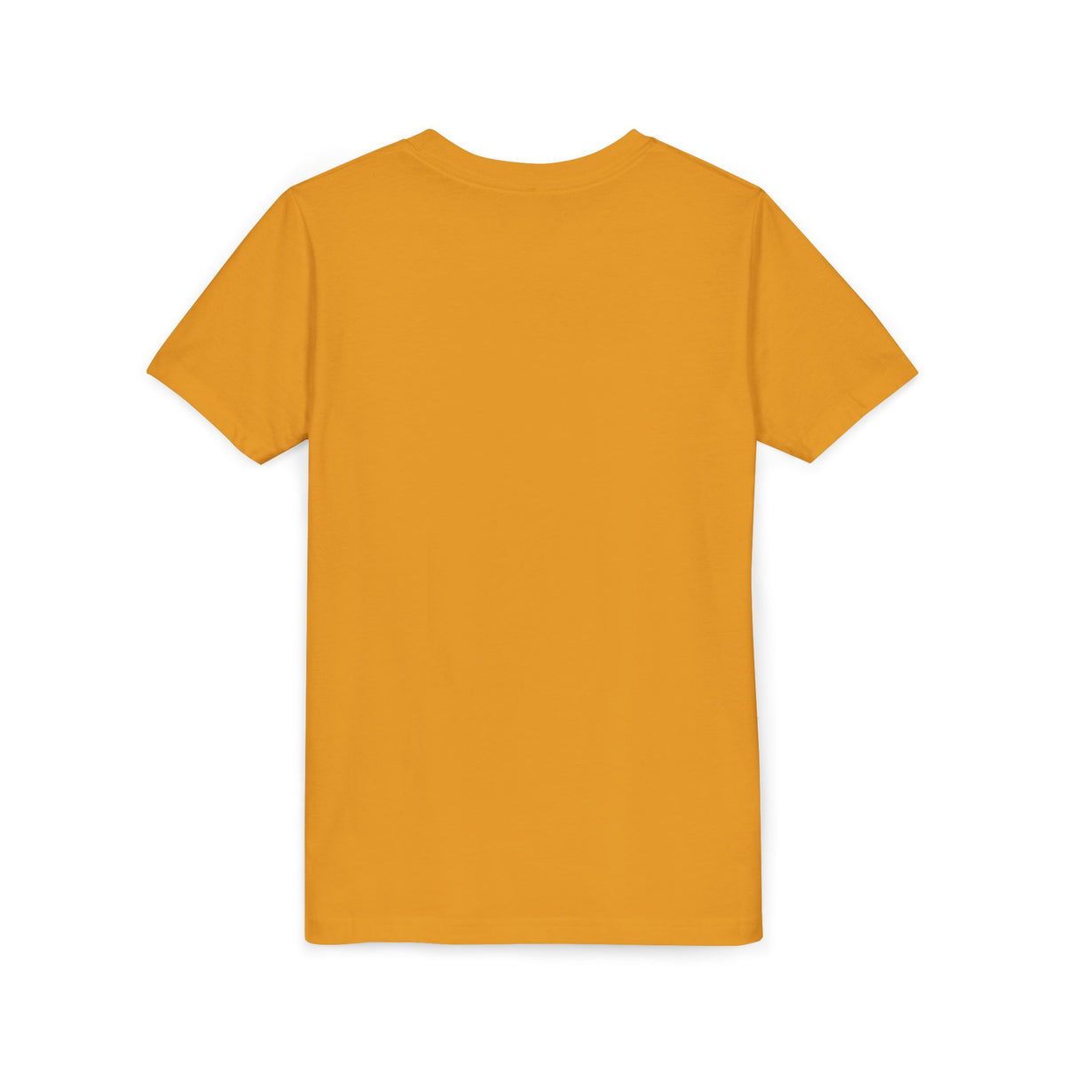 Protect Children Not Pregnancies Youth Short Sleeve Tee