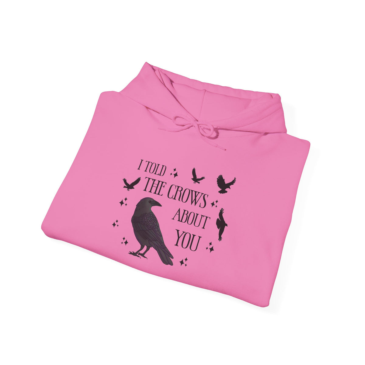 I Told the Crows About You Hoodie