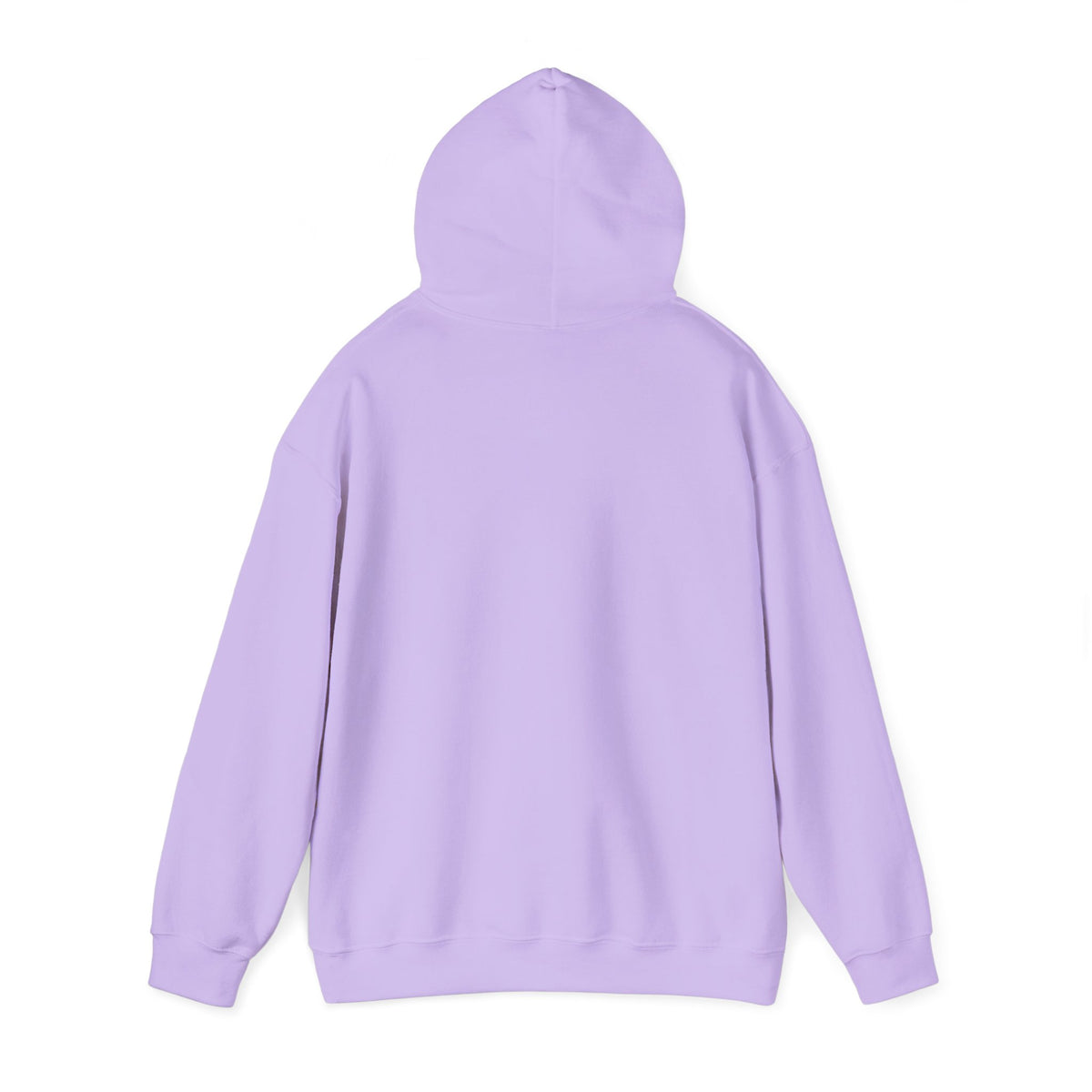I Told the Crows About You Hoodie