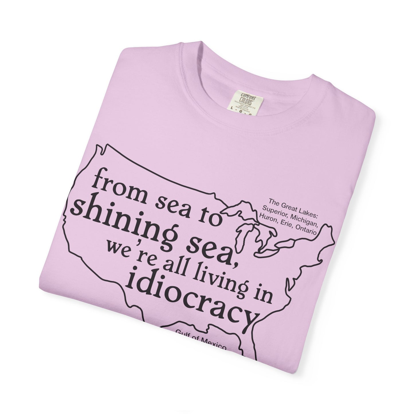 Idiocracy Map T-Shirt  'From sea to shining sea we are living in idiocracy' Minimal Political Tee Great Lakes Gulf of Mexico