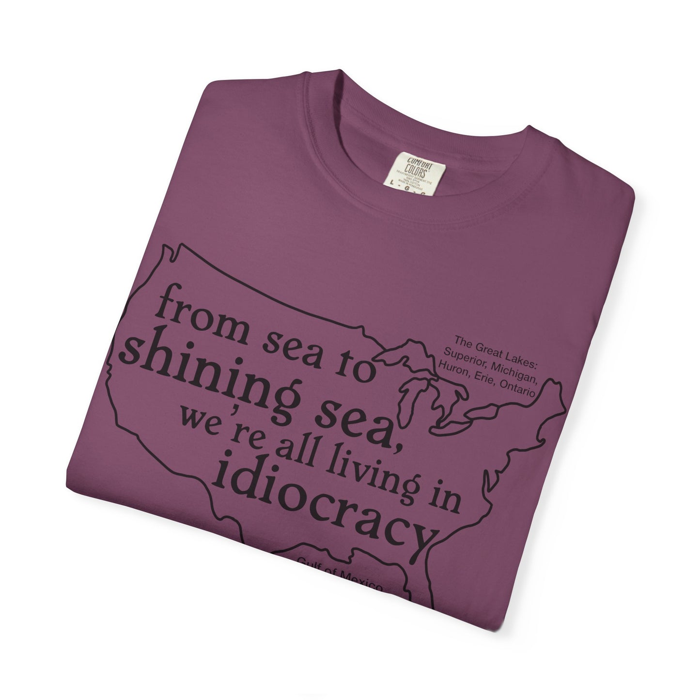 Idiocracy Map T-Shirt  'From sea to shining sea we are living in idiocracy' Minimal Political Tee Great Lakes Gulf of Mexico