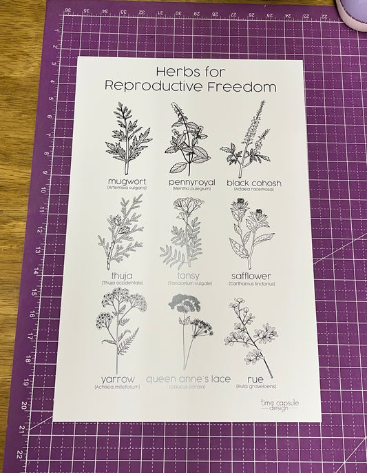 Herbs for Reproductive Freedom Poster