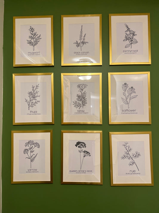 Set of 9 PRINTS - Complete Collection Herbs for Reproductive Freedom Wall Art Decor 8x10”