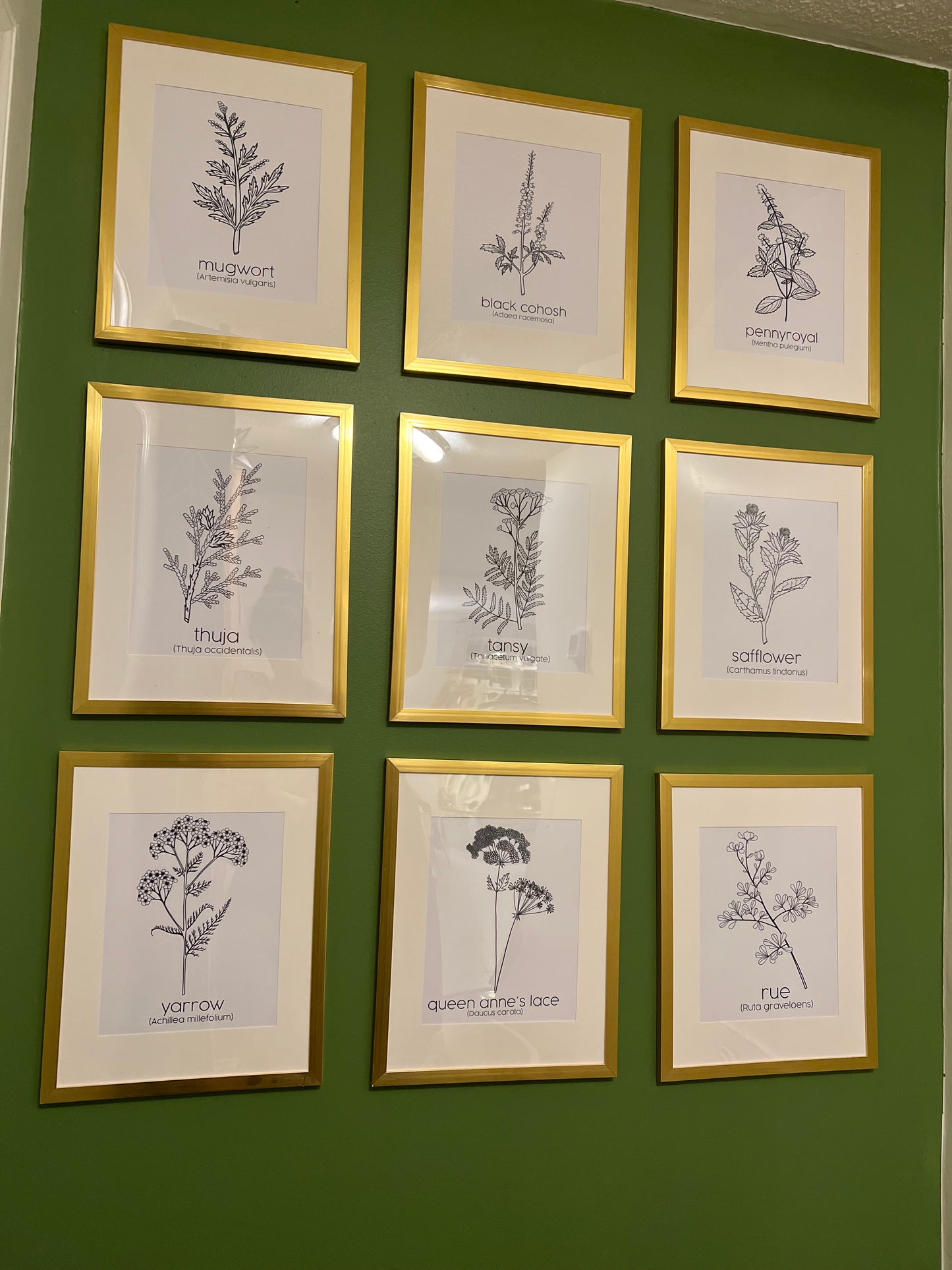 Set of 9 PRINTS - Complete Collection Herbs for Reproductive Freedom Wall Art Decor 8x10”