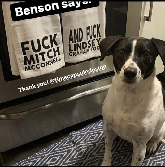 Fuck Mitch & Lindsey Tea Towel Set