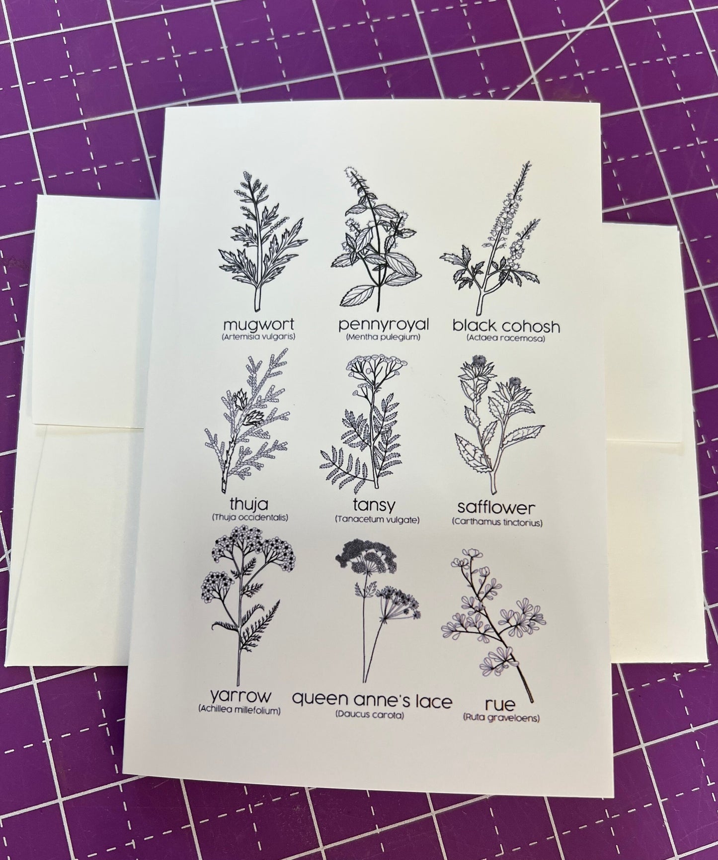 Herbs for Reproductive Freedom Greeting Card