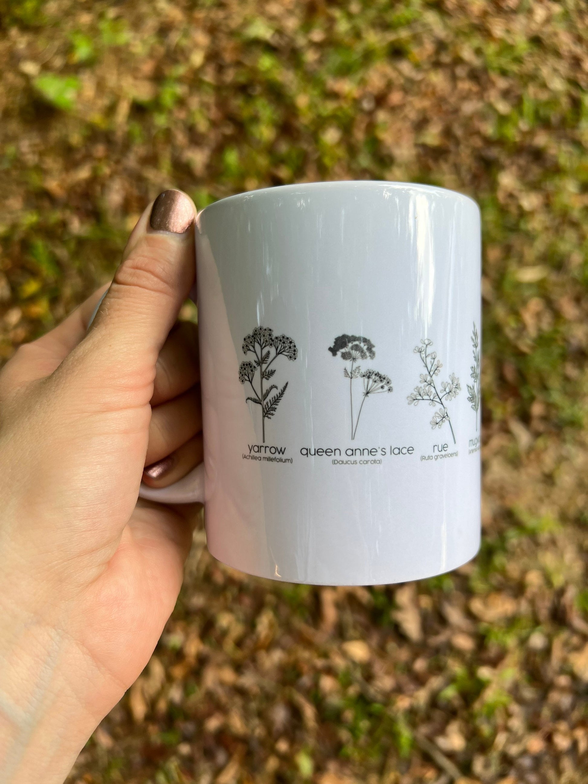 Herbs For Reproductive Health Mug Time Capsule Design herbs-for-reproductive-health-mug-time-capsule-design