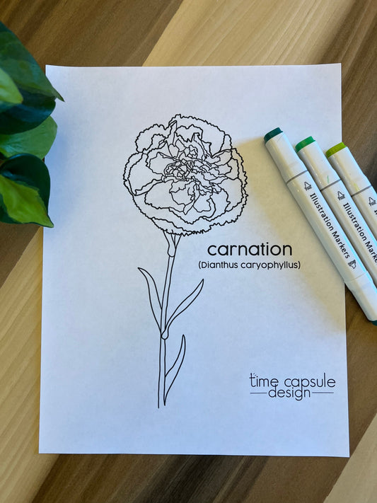 Carnation Historically Queer Flowers Coloring Page Digital Download Printable Personal Use Only