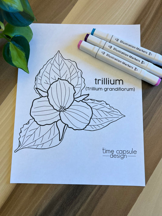 Trillium Historically Queer Flowers Coloring Page Digital Download Printable Personal Use Only