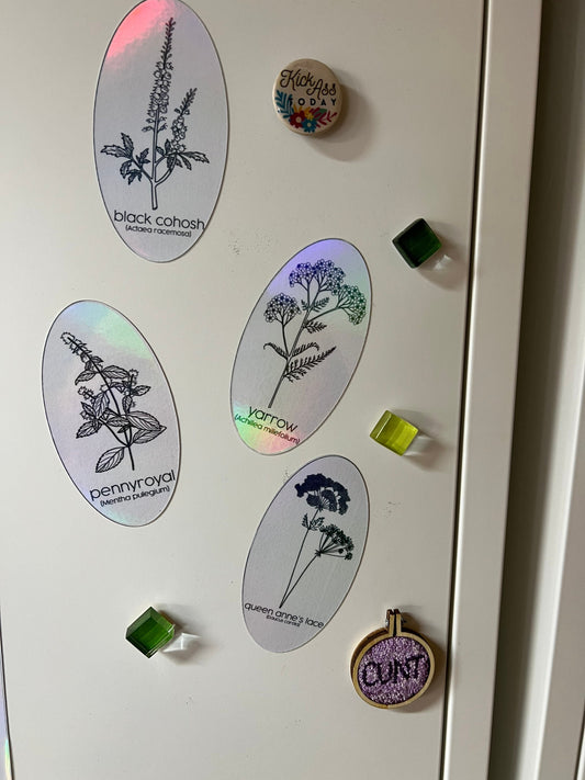 Magnets - Herbs for Reproductive Freedom - Set of 4