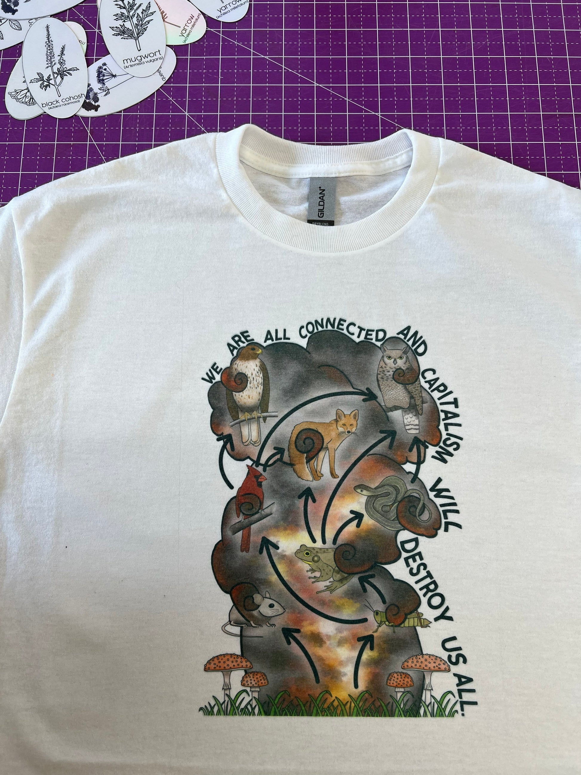 We Are All Connected Capitalism Will Destroy Us All SHIRT East Palestine Relief