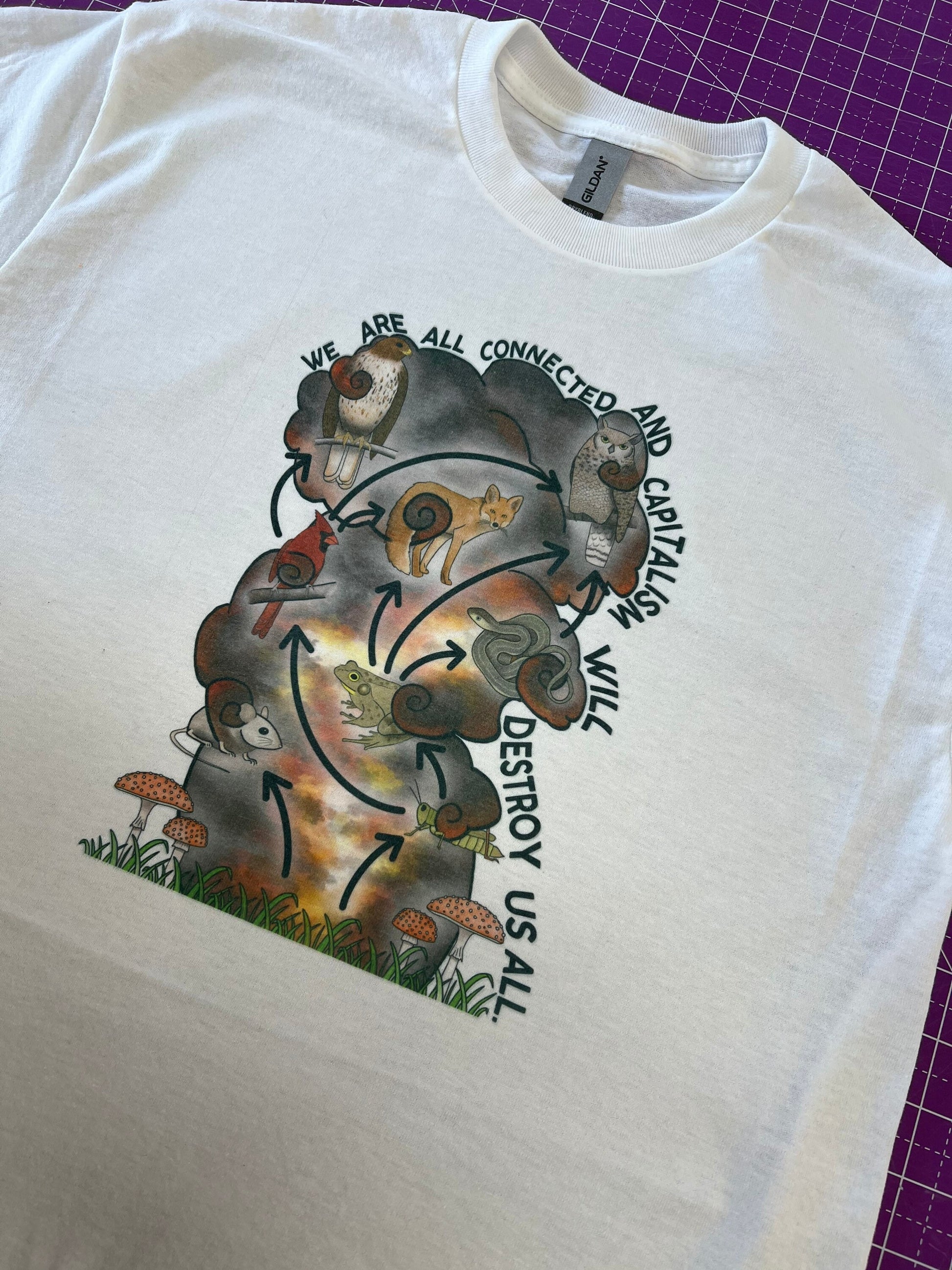 We Are All Connected Capitalism Will Destroy Us All SHIRT East Palestine Relief