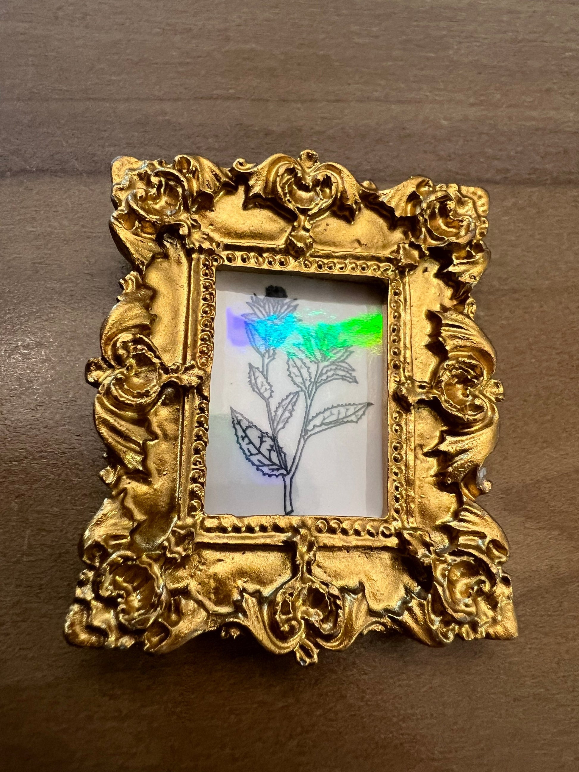 Mini Framed Art - Herbs for Reproductive Freedom - with Hangers