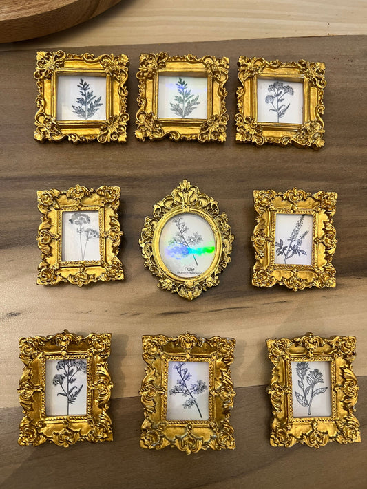 Mini Framed Art - Herbs for Reproductive Freedom - with Hangers