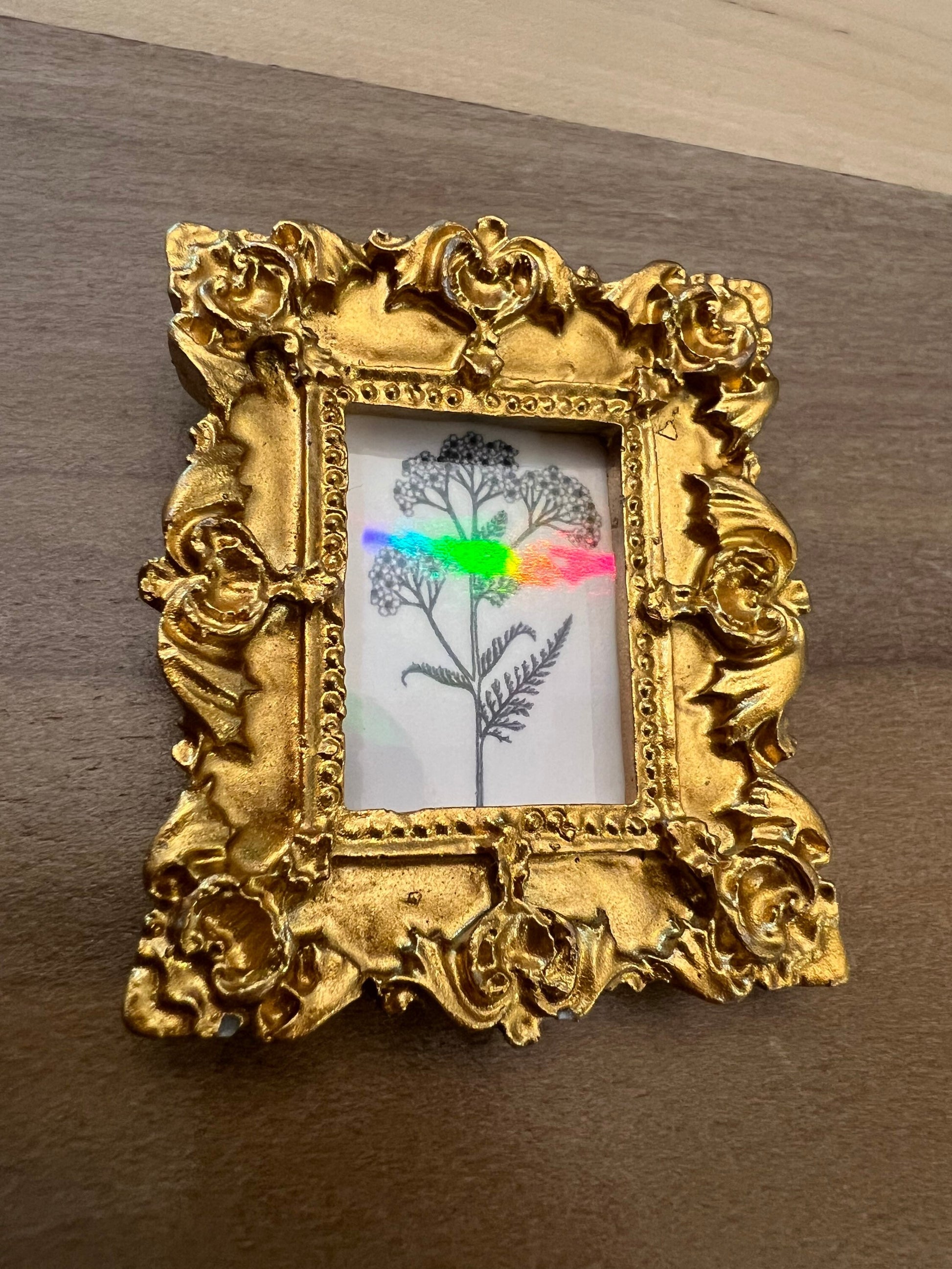 Mini Framed Art - Herbs for Reproductive Freedom - with Hangers